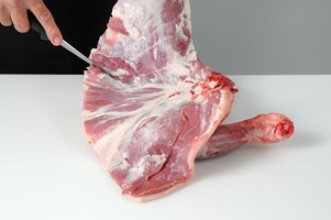 Meat Cut Spec Step 4